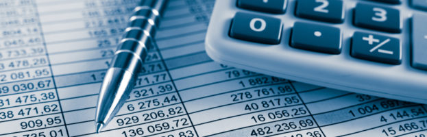 Accounting software: a necessary step into the future business world